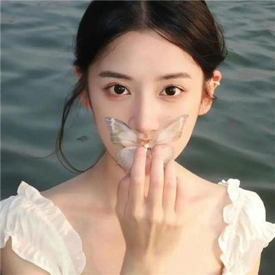 蓝甲虫
